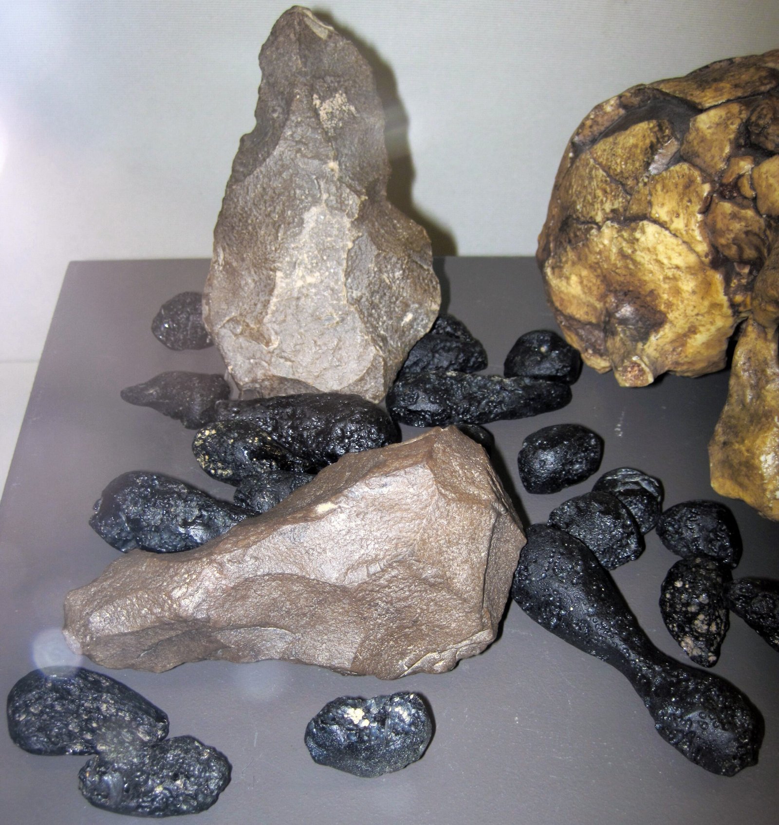 From Ancient Tools to Modern Science (image credits: wikimedia)