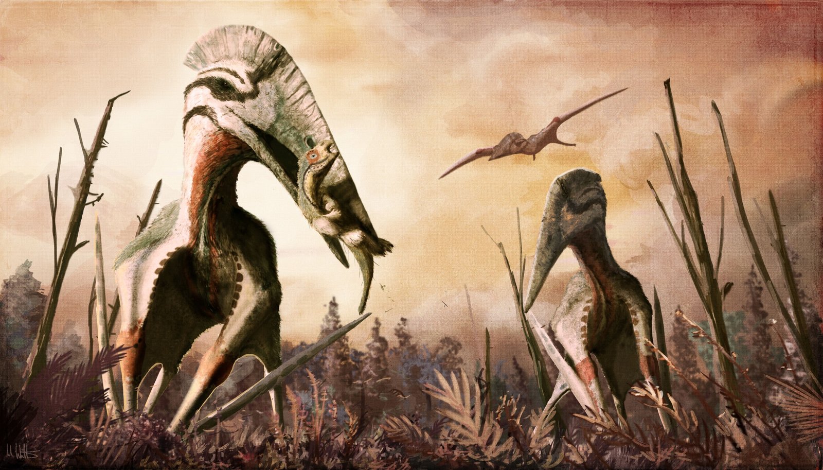 Hatzegopteryx thambema: The Heavy-Hitter of Transylvania (image credits: wikimedia)