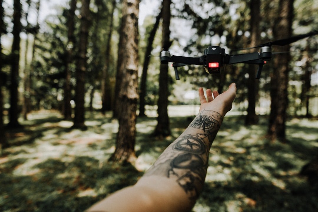 The Future Landscape (image credits: unsplash)