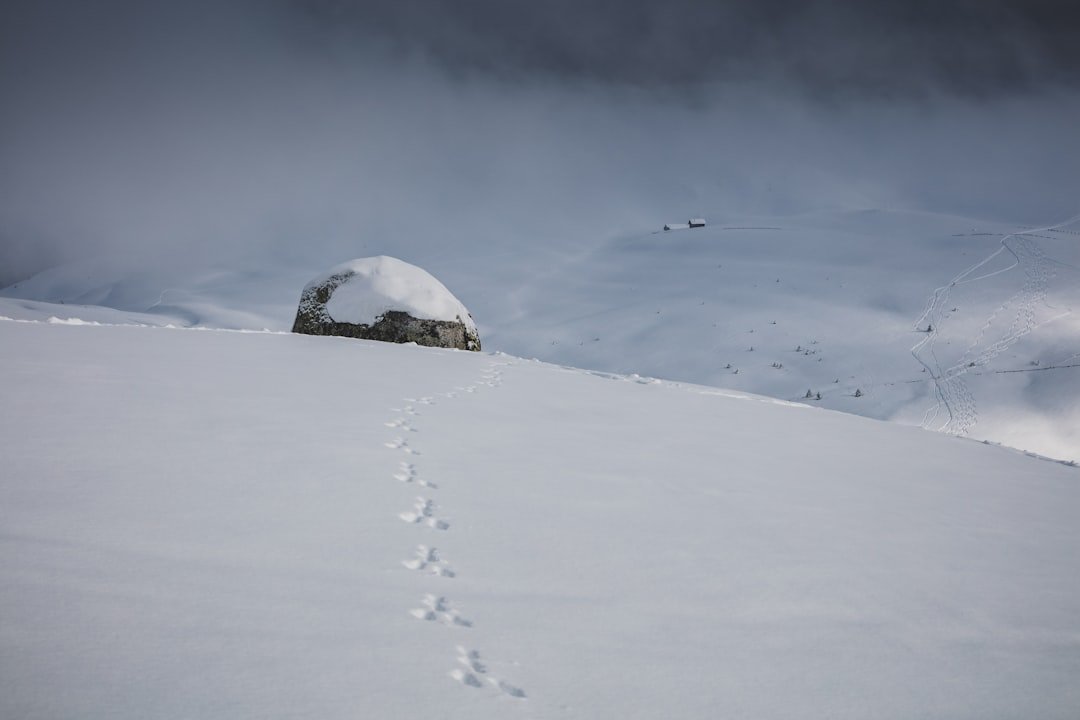 The Hidden Clues (image credits: unsplash)