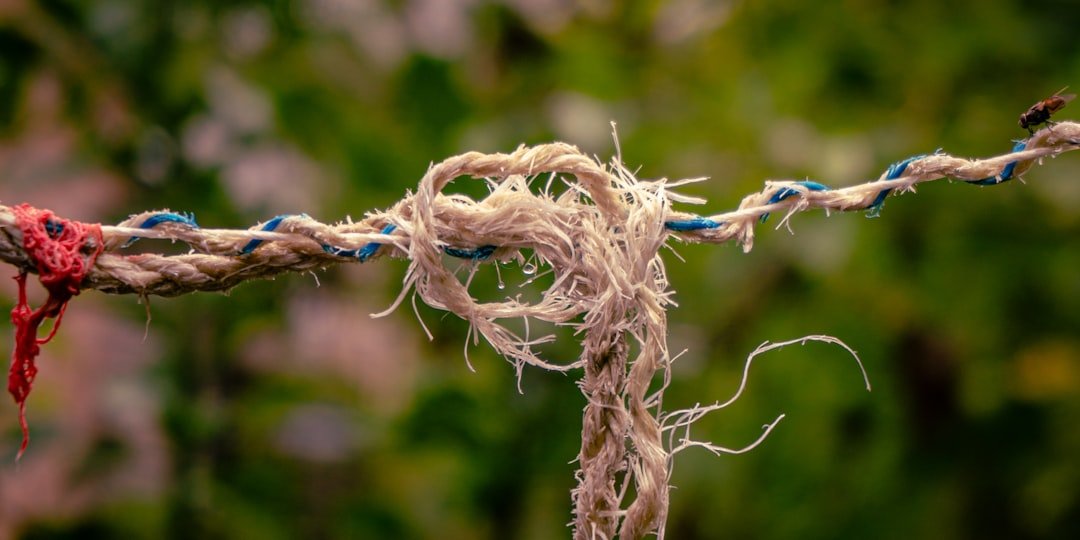 From Lab Bench to Real-World Networks (image credits: unsplash)