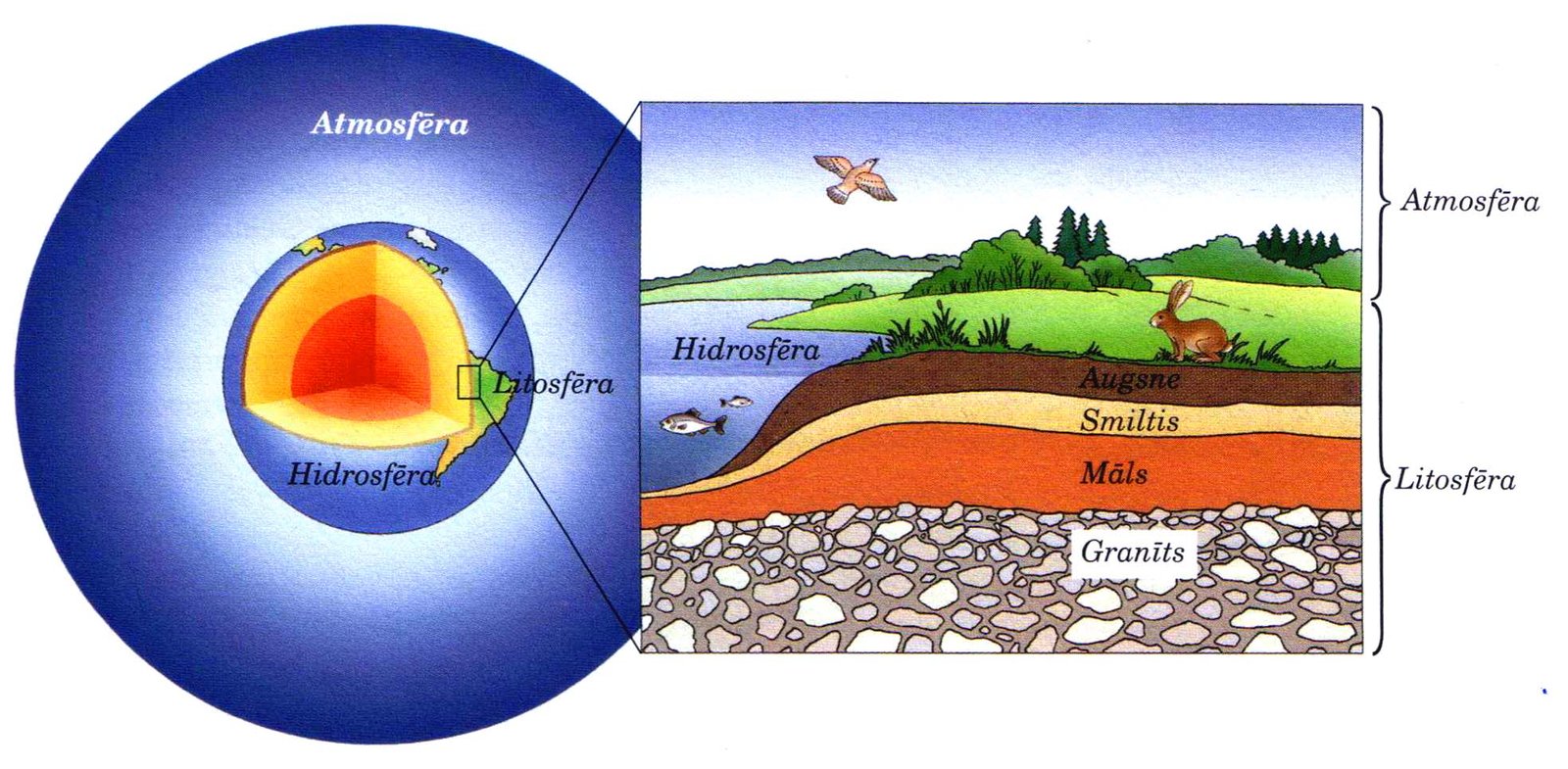 Global Perspectives (image credits: wikimedia)