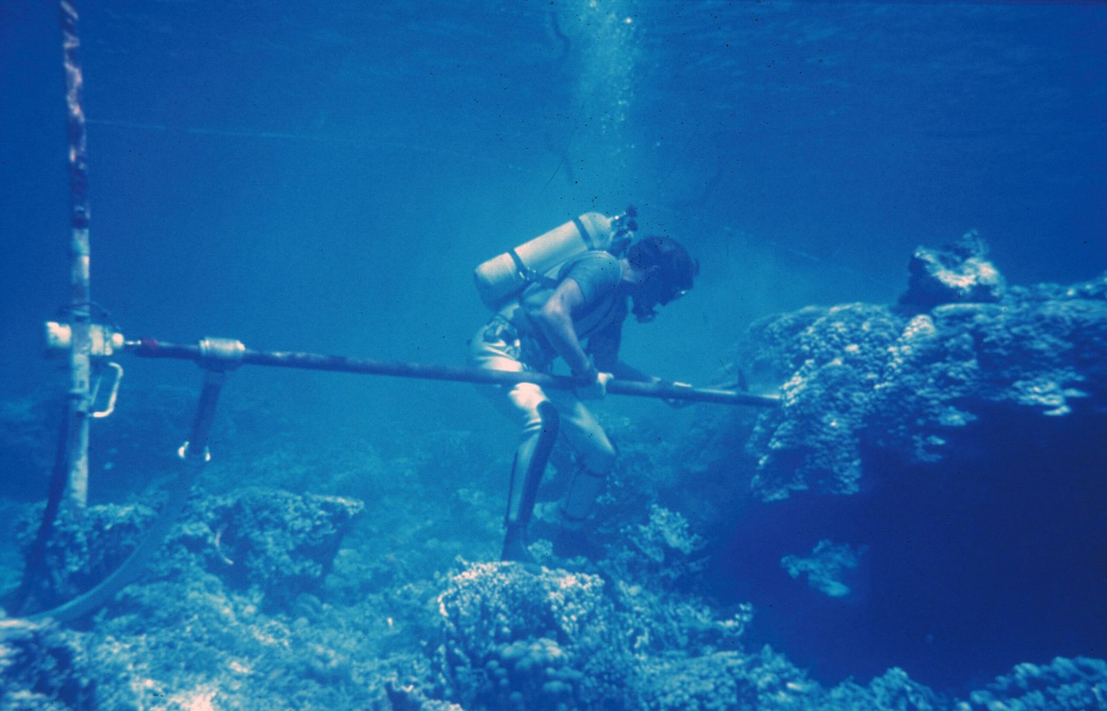 From Ancient Tools to Modern Science (image credits: wikimedia)