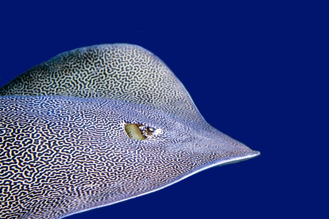 Edge Cases in Evolution (image credits: unsplash)