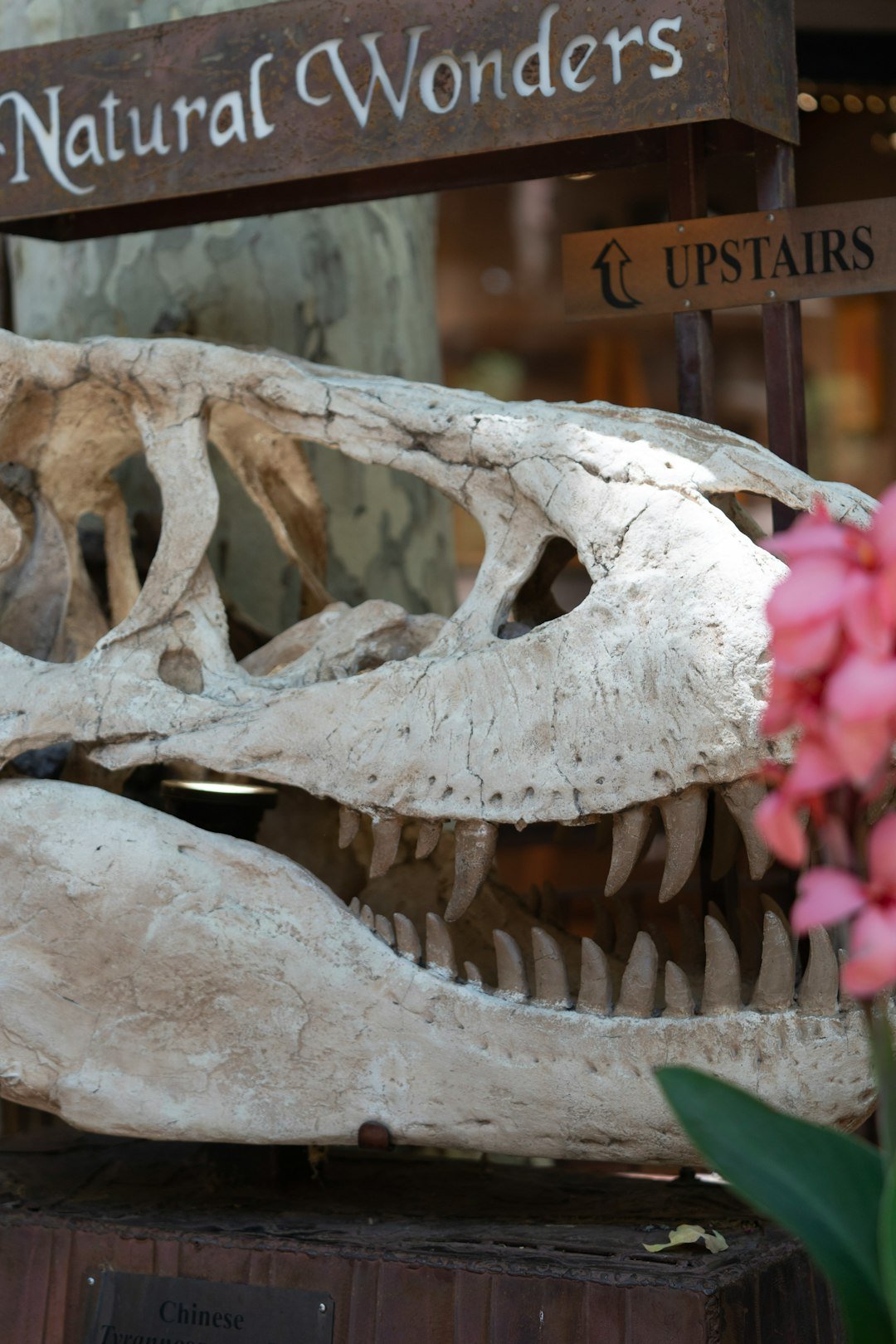 The Hidden Clues (image credits: unsplash)