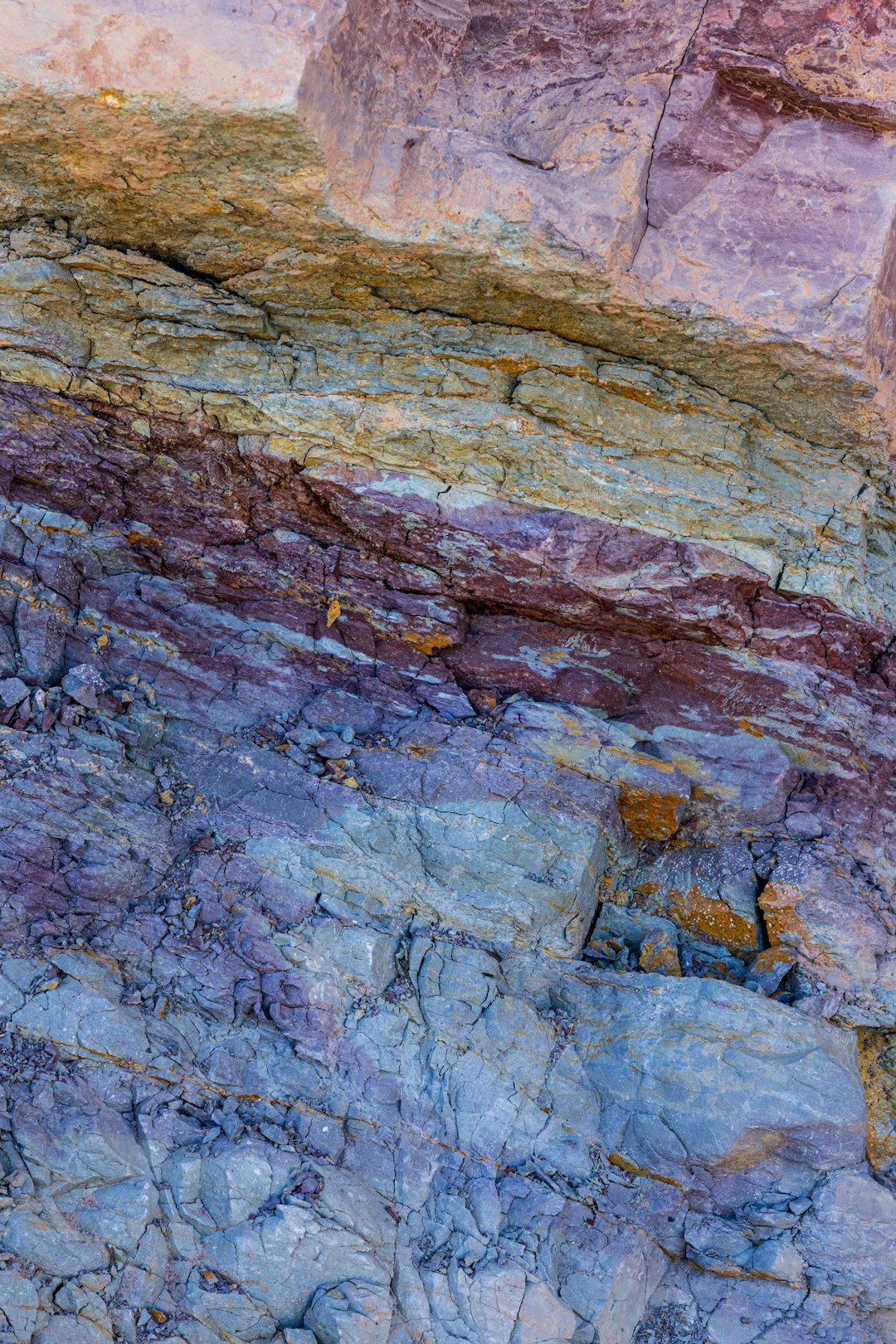 How Fossils Form: Time’s Slow Magic (image credits: unsplash)
