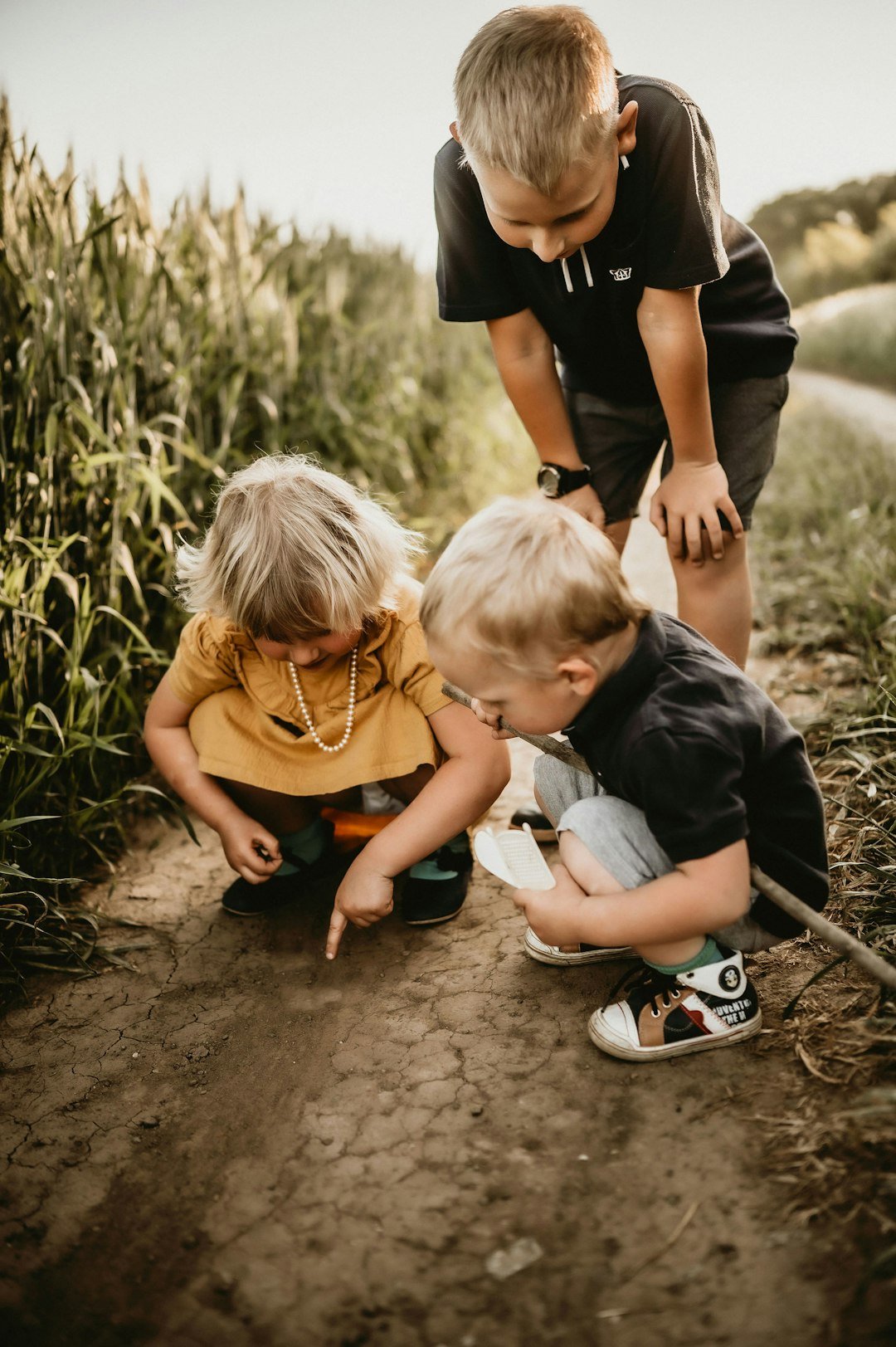 From Ancient Tools to Modern Science - For Kids in the Field (image credits: unsplash)