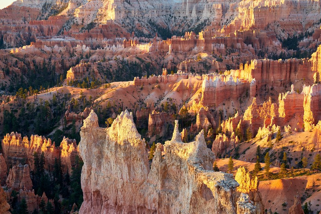 6 Creatures To Beware Of When Visiting Bryce Canyon National Park