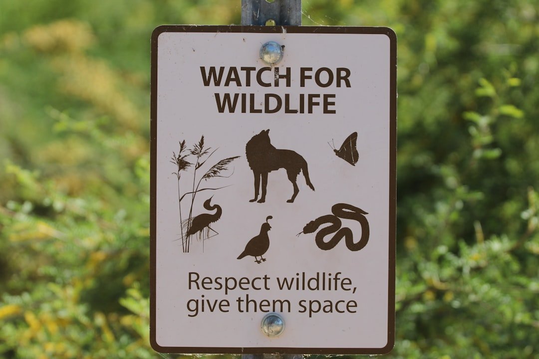 Wildlife Populations That Defy Extinction (image credits: unsplash)