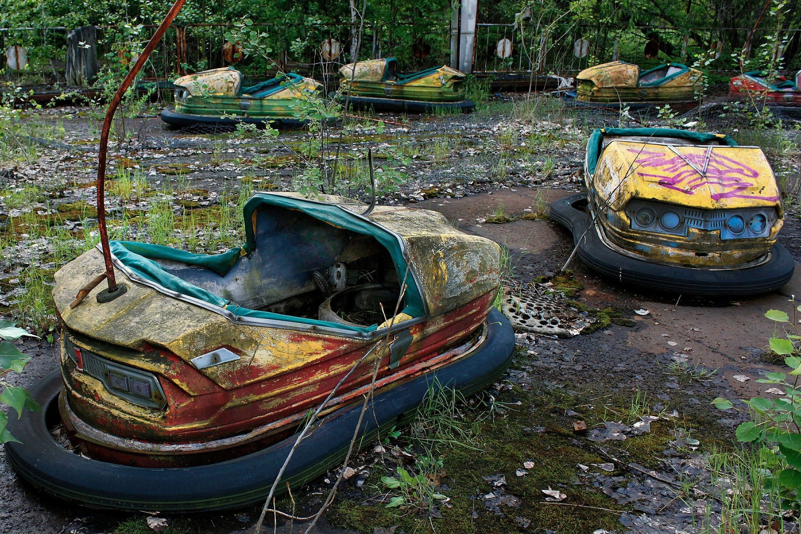 Conclusion (image credits: wikimedia)