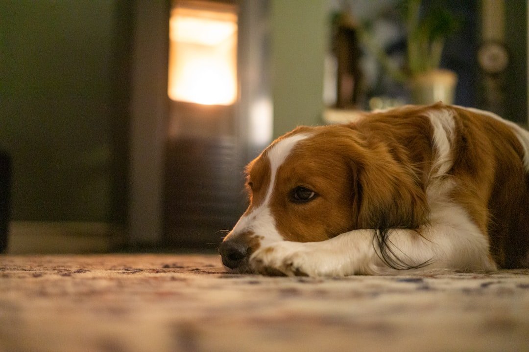 Recognize Early Heat Exhaustion Signs (image credits: unsplash)