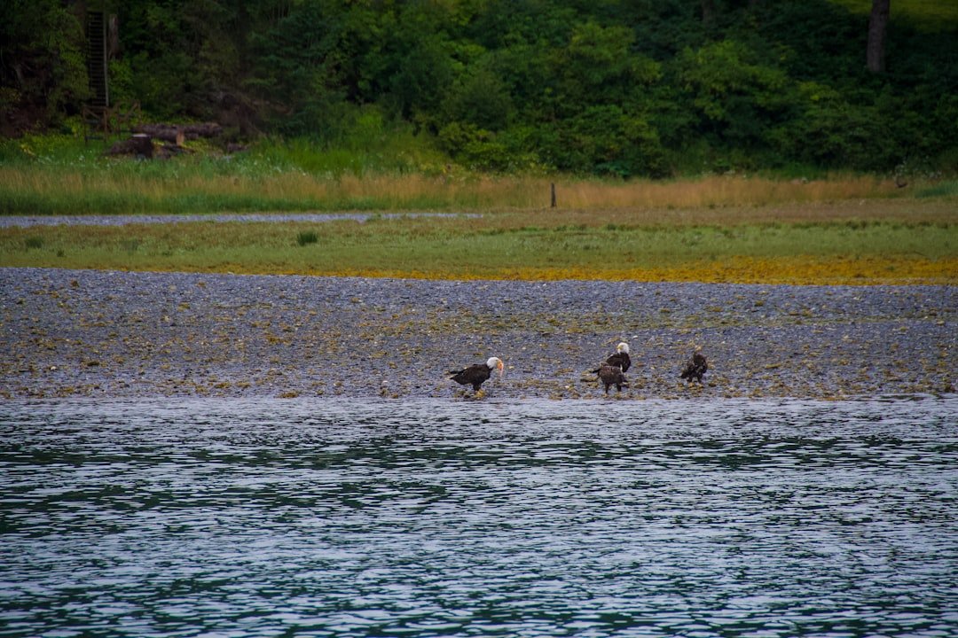 Global Perspectives (image credits: unsplash)