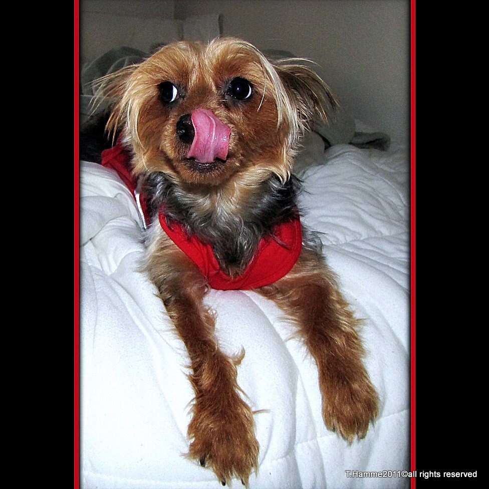 Muscle Tremors and Spasms (image credits: flickr)