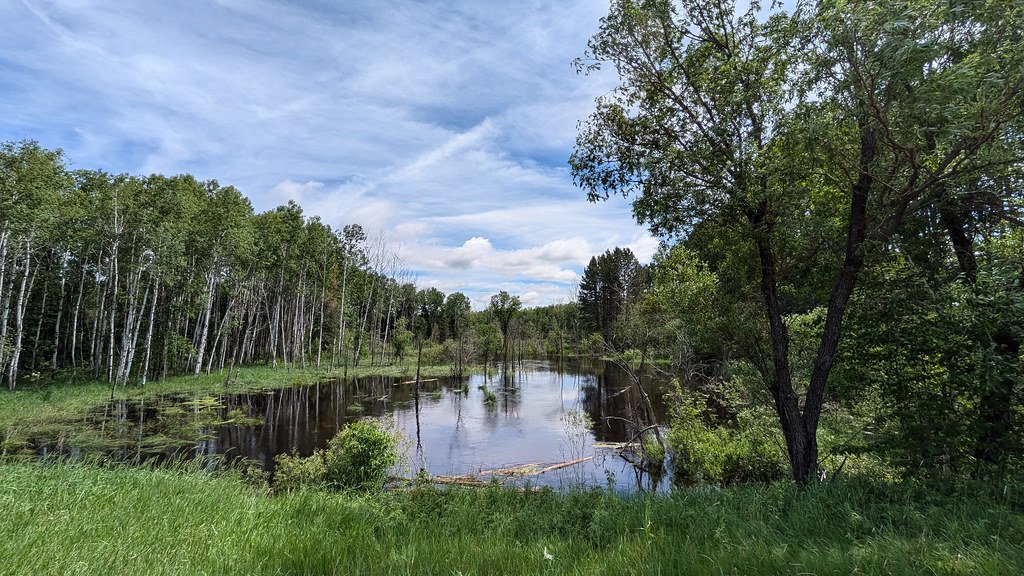 The Wetland Death Spiral (image credits: flickr)