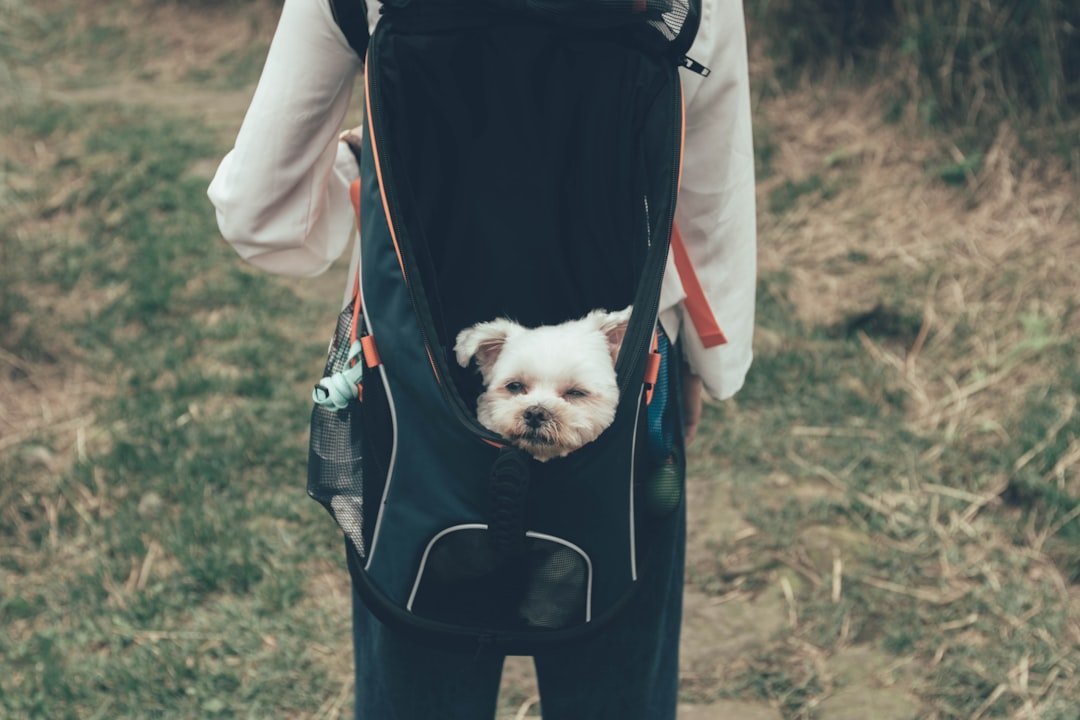 Trail Etiquette and Wildlife Awareness (image credits: unsplash)