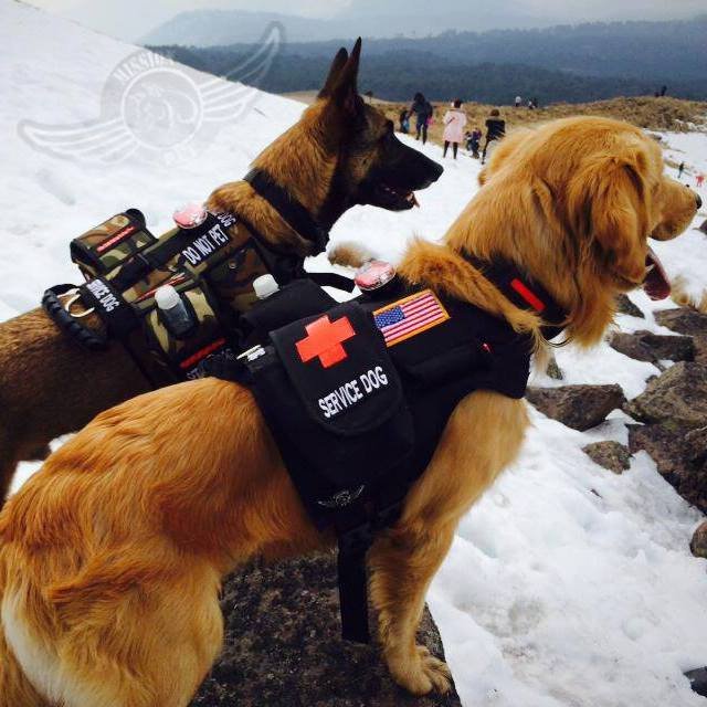 Training Smart for Altitude (image credits: wikimedia)