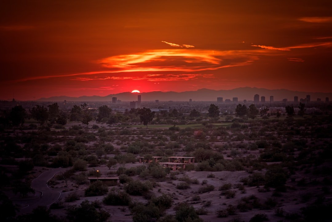 Urban Heat Islands Making Everything Worse (image credits: unsplash)