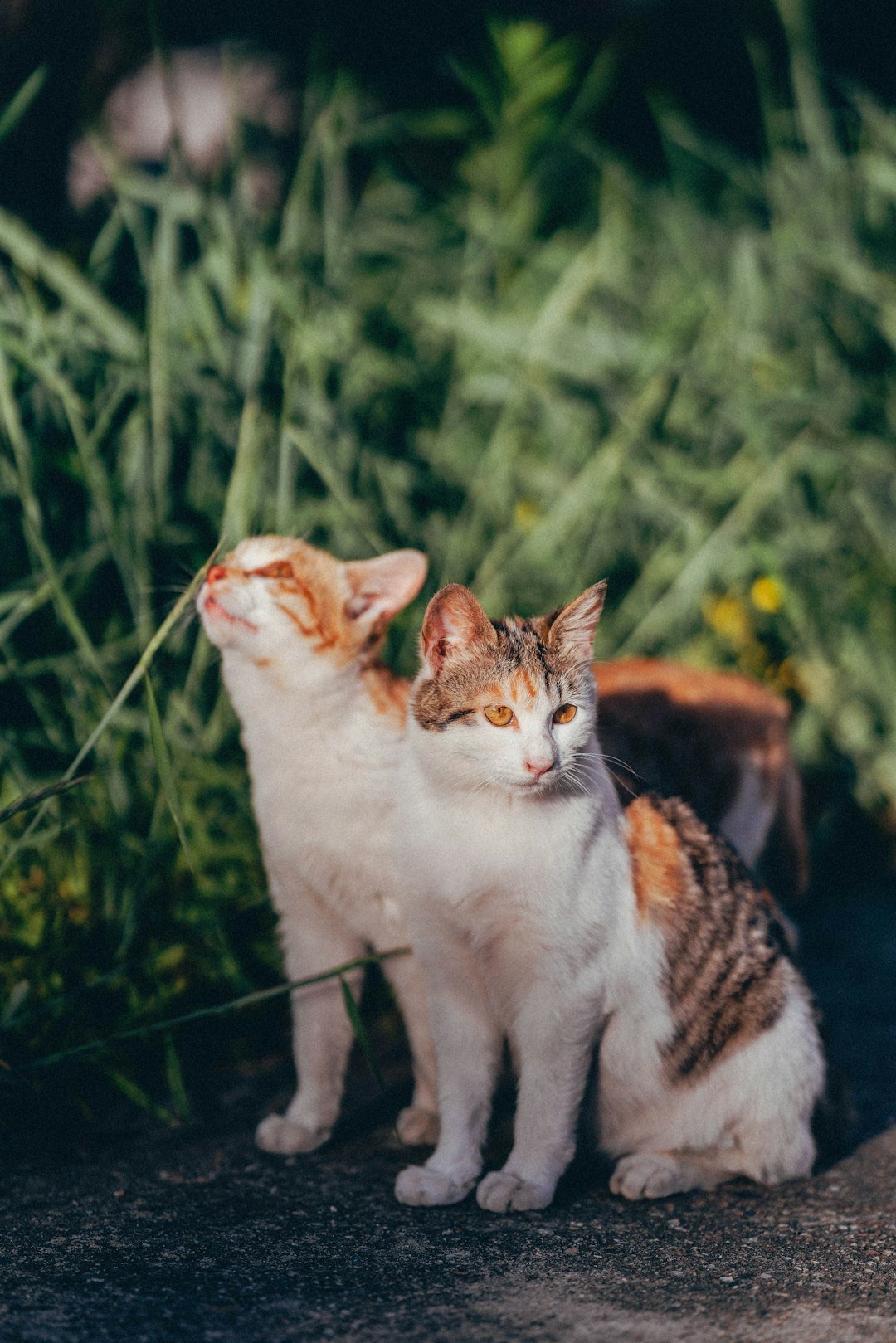 Why It Matters (image credits: unsplash)