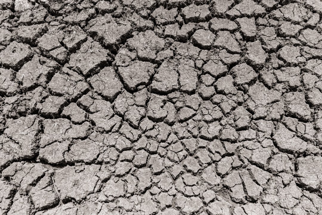The 1950s Drought and 1957 Deluge: Thirst, Then Flood (image credits: unsplash)