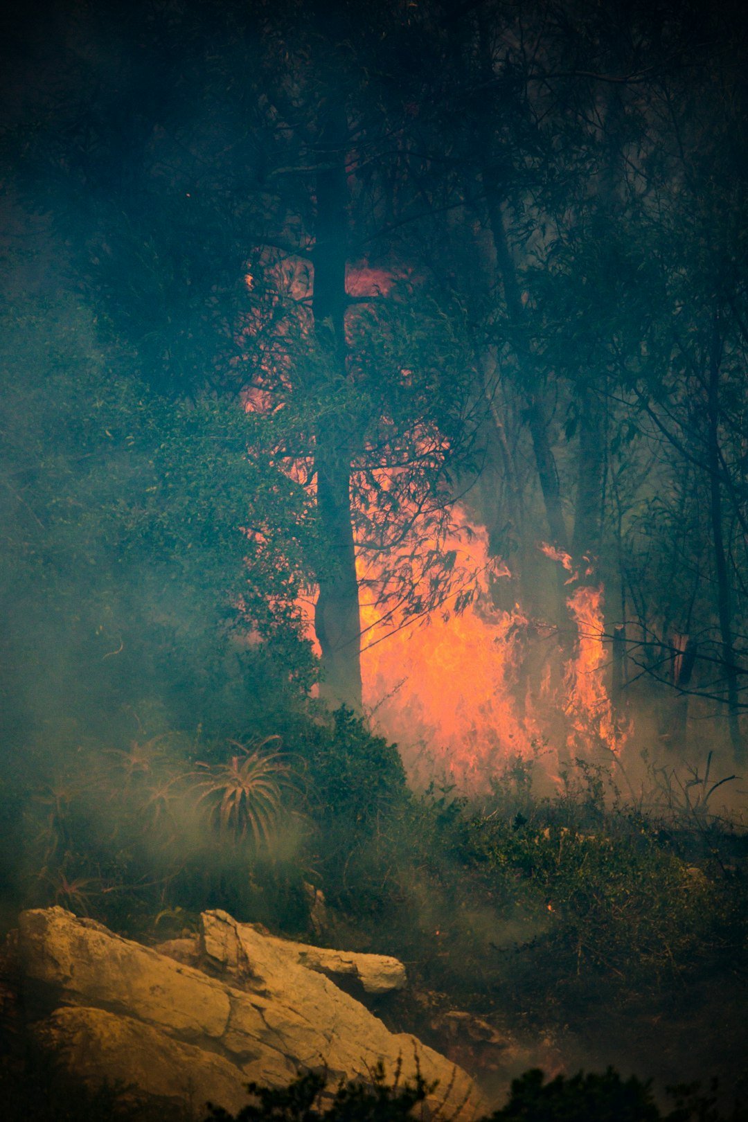 2011 Drought and Bastrop Fires: A State That Crackled (image credits: unsplash)