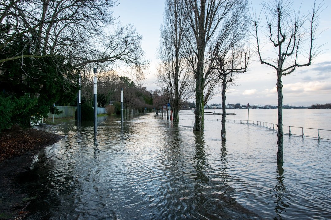 Memorial Day Floods 2015: Rivers That Rose Like Elevators (image credits: unsplash)