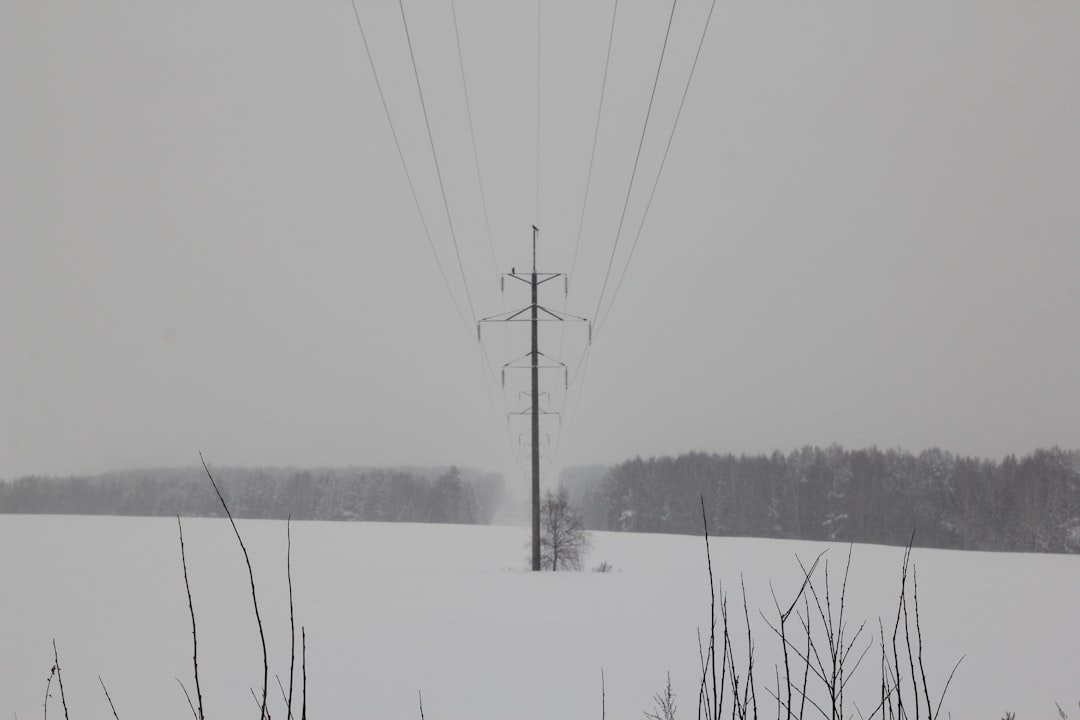 Winter Storm Uri 2021: When the Grid Froze (image credits: unsplash)