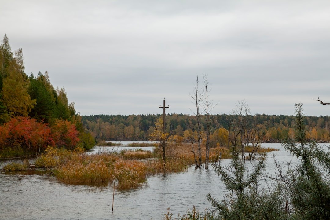 The Hidden Clues (image credits: unsplash)