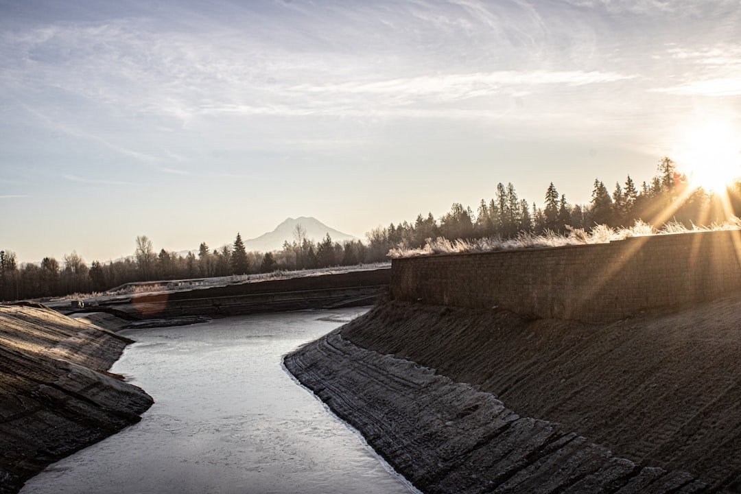 The Levee Paradox (image credits: unsplash)
