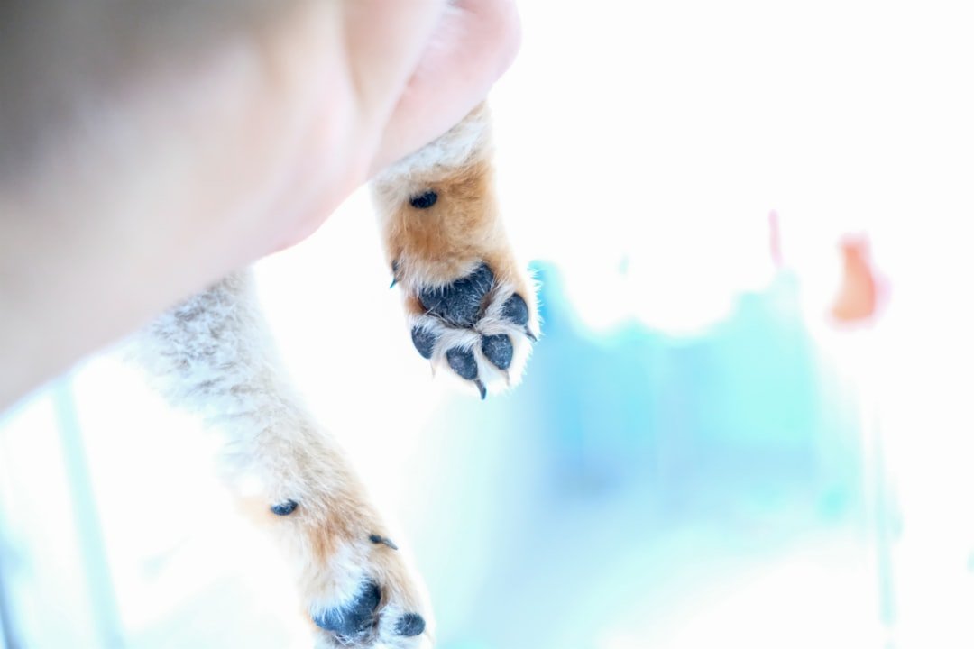 The Hidden Clues (image credits: unsplash)