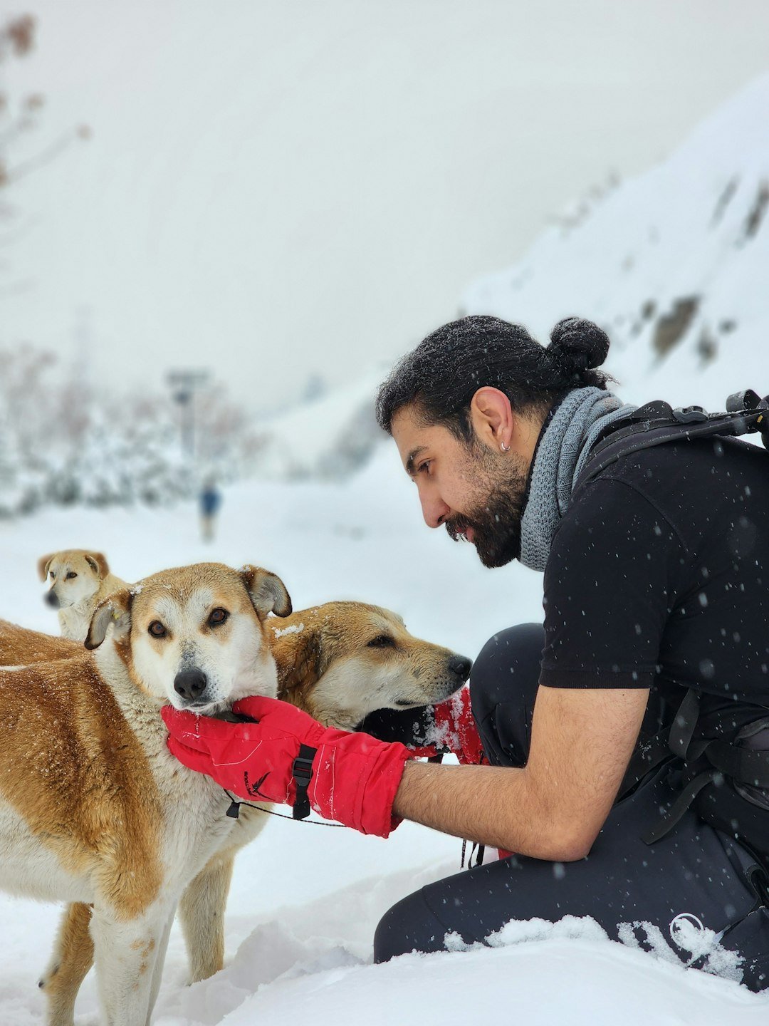 Why It Matters (image credits: unsplash)