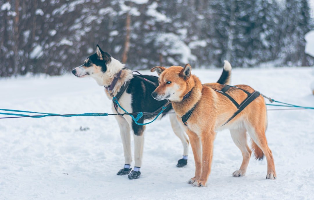 The Future Landscape (image credits: unsplash)