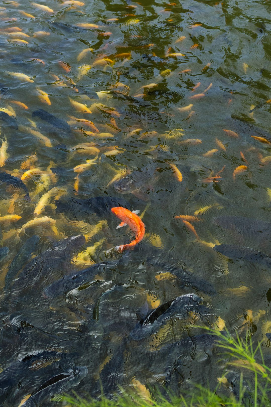 Dams, Pumps, and Vanishing Rivers (image credits: unsplash)