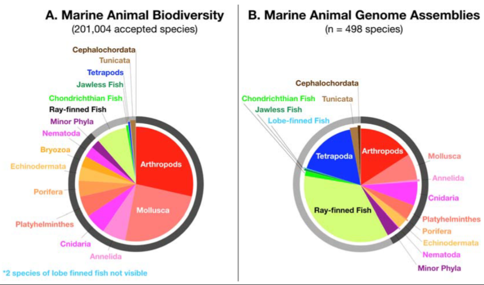 Why It Matters (image credits: wikimedia)
