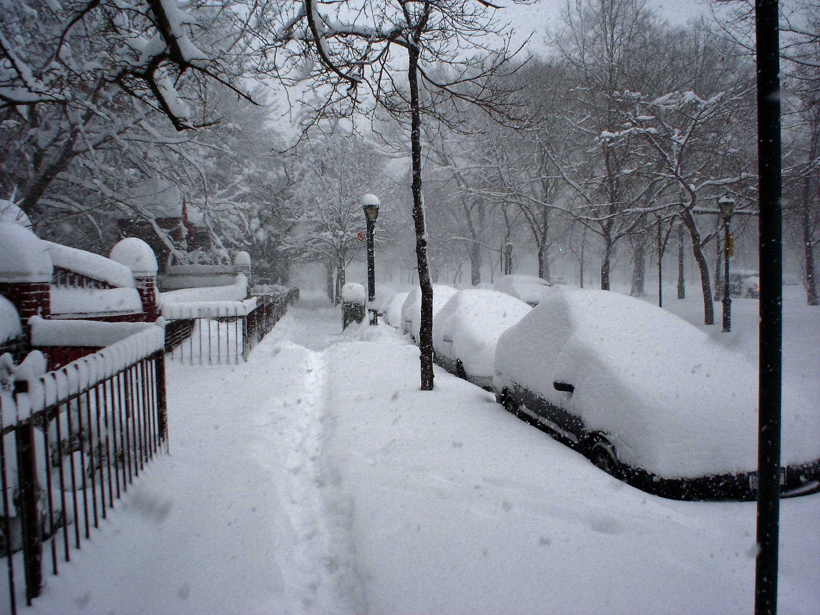 The Record-Breaking Blizzard of 2006 (image credits: wikimedia)