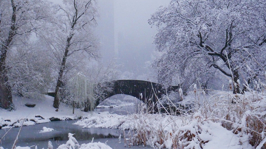 The Historic Jonas Blizzard of 2016 (image credits: unsplash)