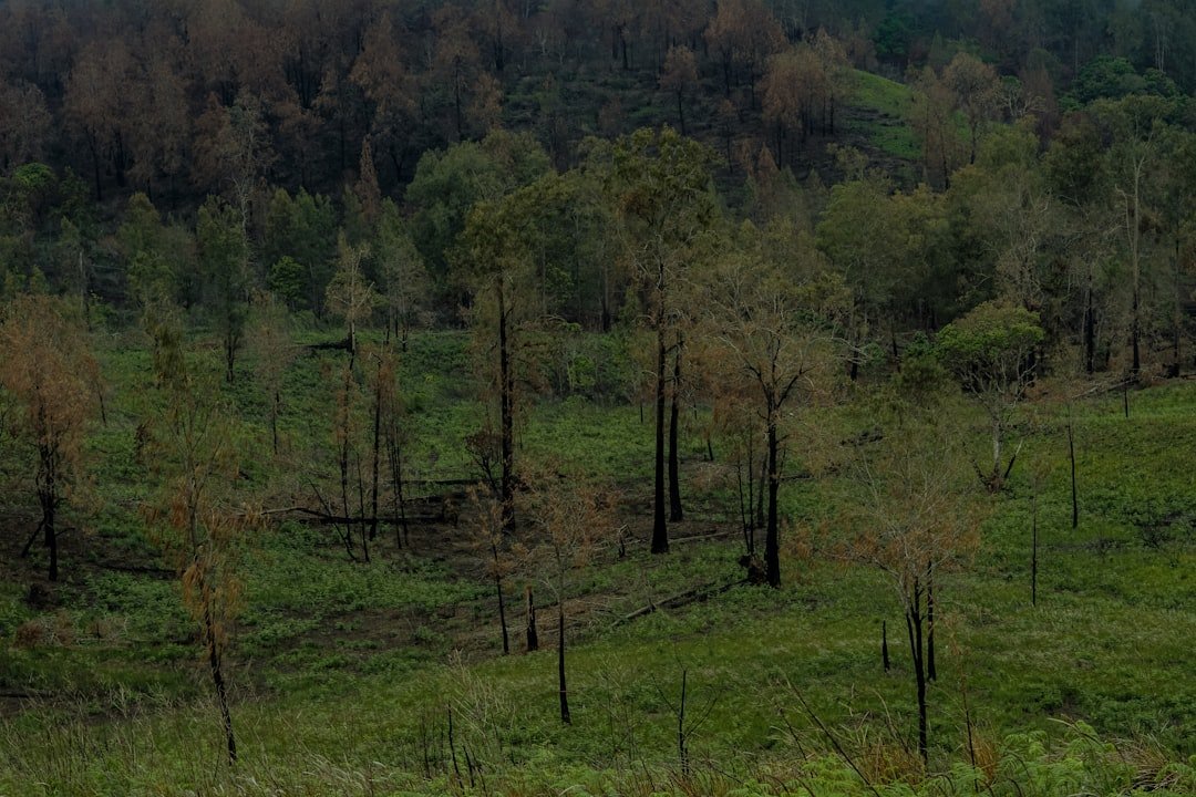 What Recovery Looks Like Now (image credits: unsplash)