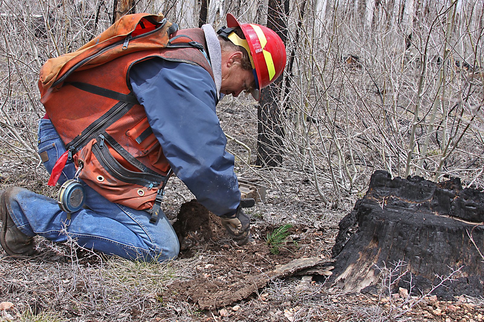 The Hidden Costs and Surprising Allies (image credits: wikimedia)