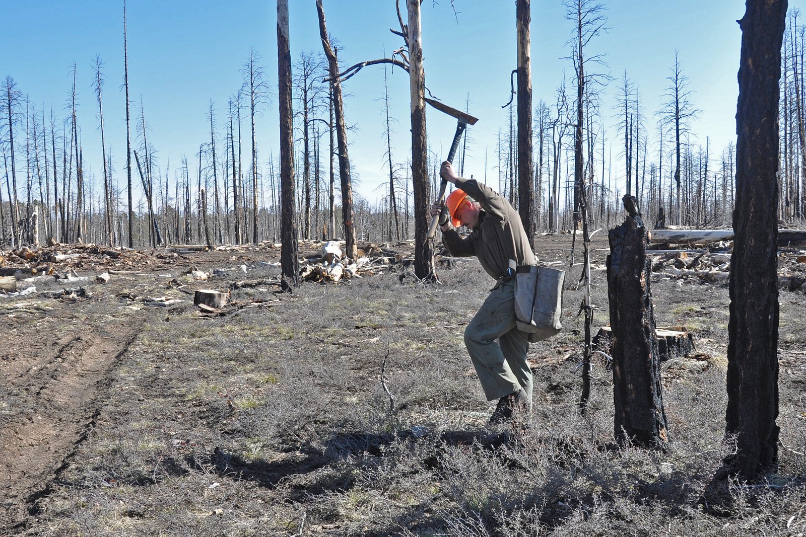 Global Perspectives (image credits: wikimedia)