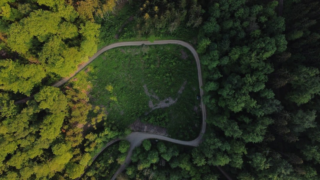 Could Colorado’s Forests Ever Recover From These Wildfires?