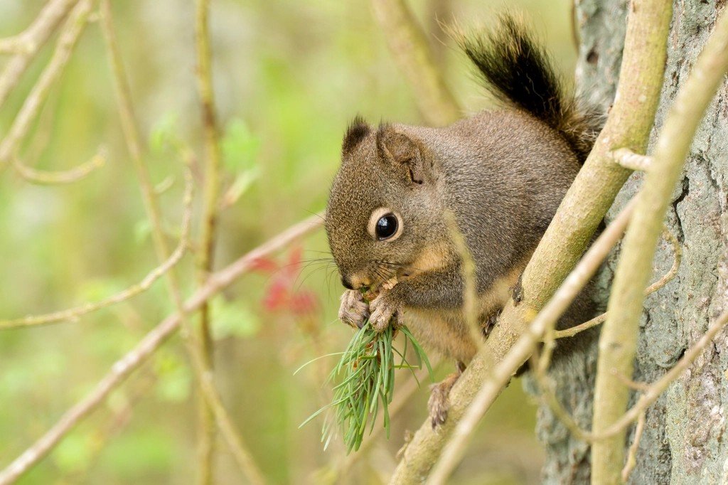 Conclusion (image credits: rawpixel)