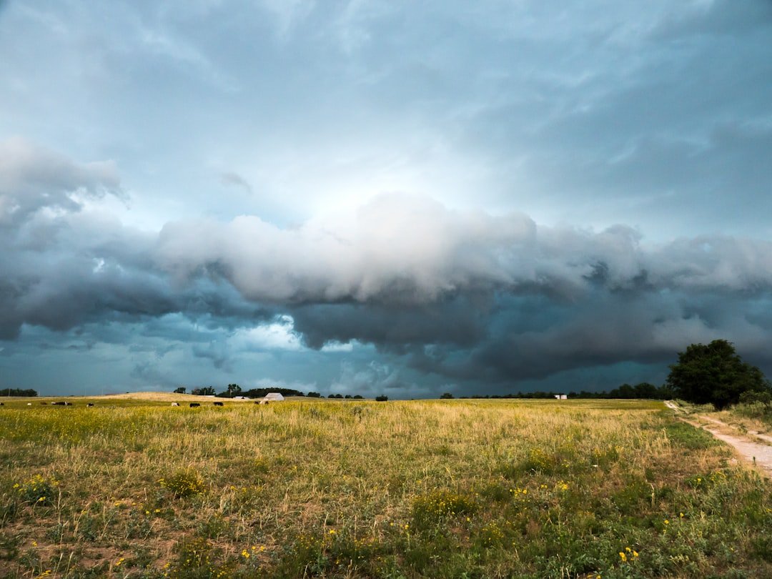 The Plains Experience Weather from Four Different Air Masses (image credits: unsplash)