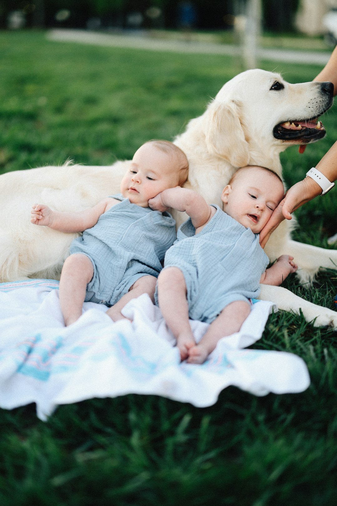 Why It Matters (image credits: unsplash)