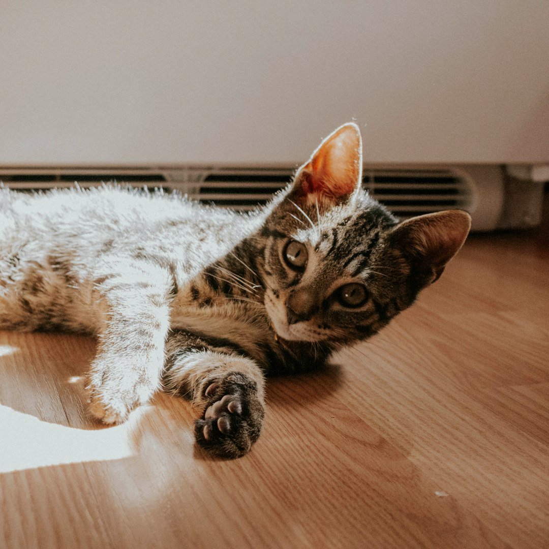 The Hidden Heat Death Statistics (image credits: unsplash)