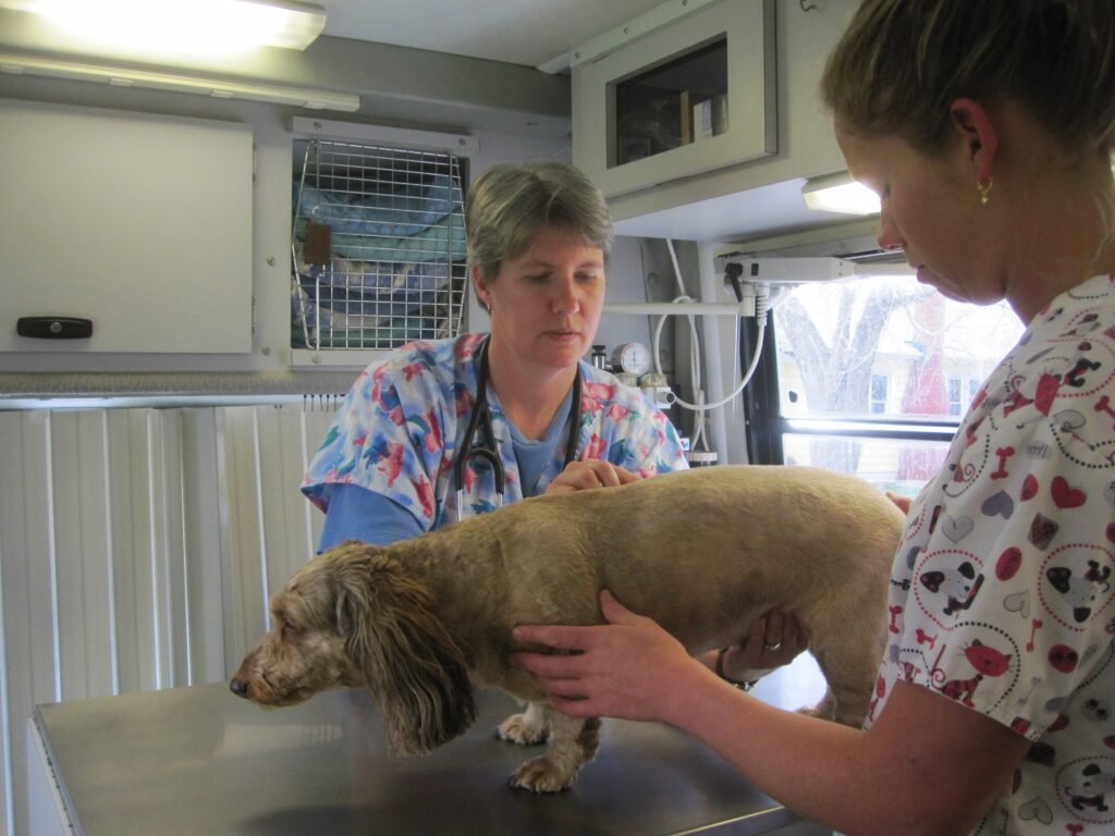 Why Early Detection Is Critical