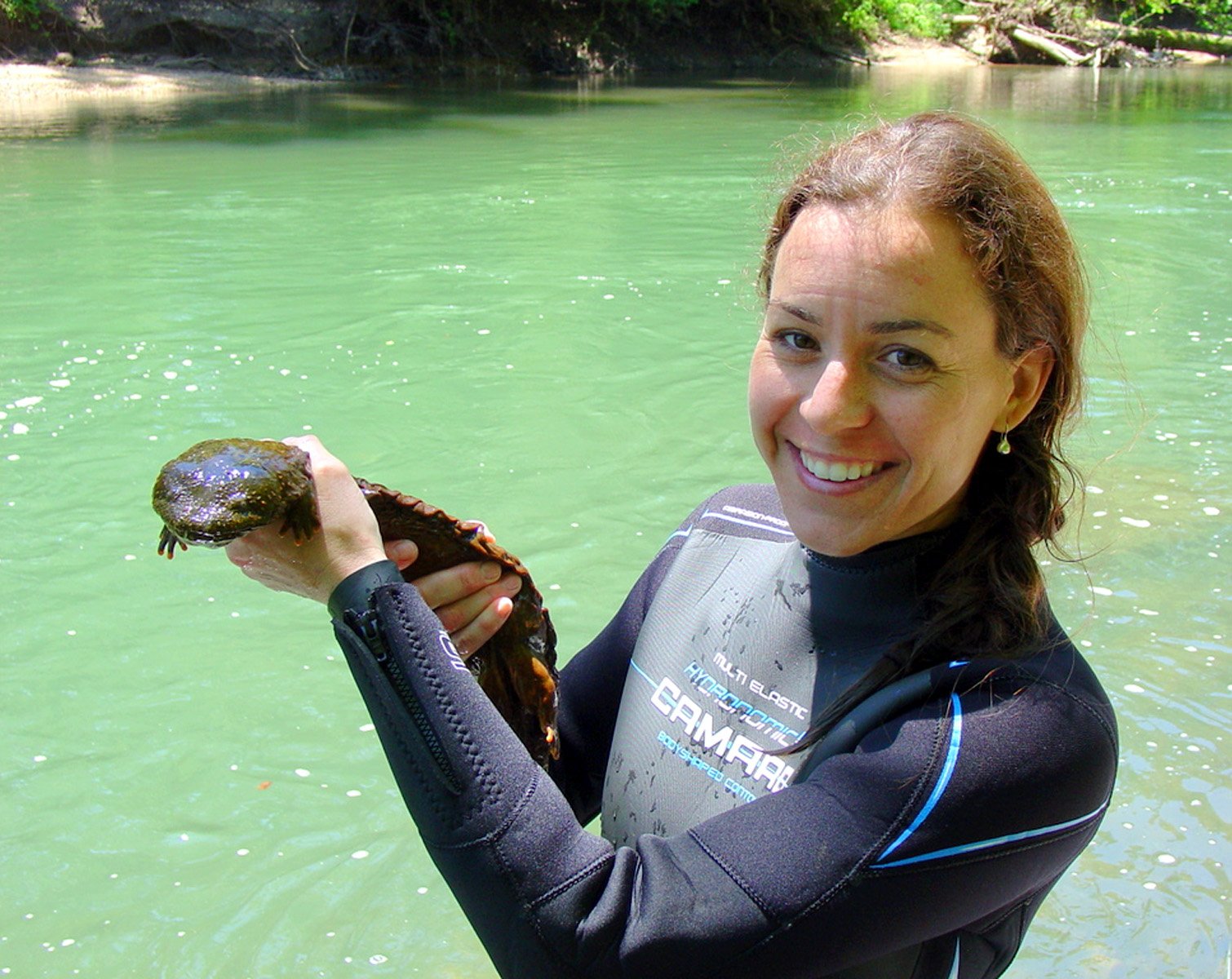 The Mighty Eastern Hellbender (image credits: wikimedia)