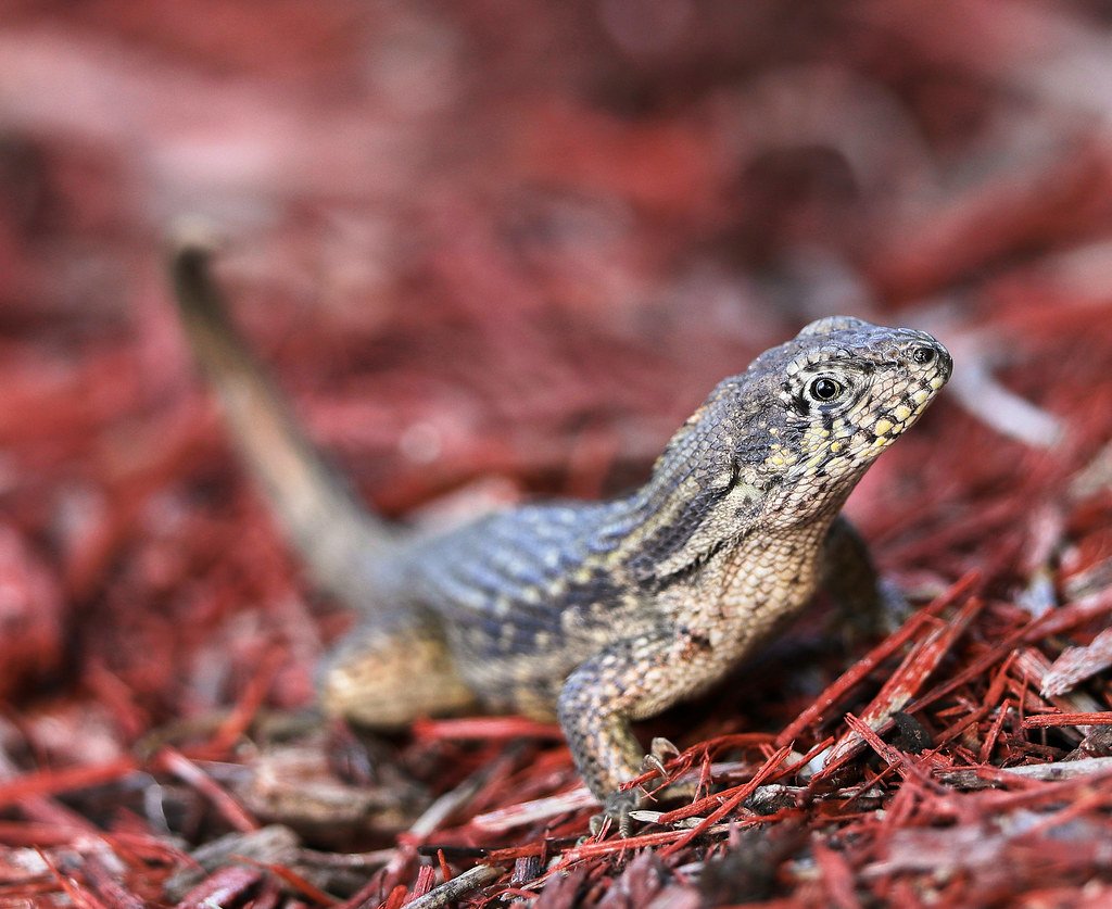 Conclusion (image credits: flickr)