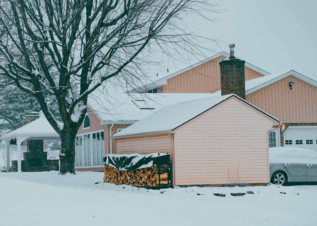 The Children's Tragedy: The Schoolhouse Blizzard (image credits: unsplash)