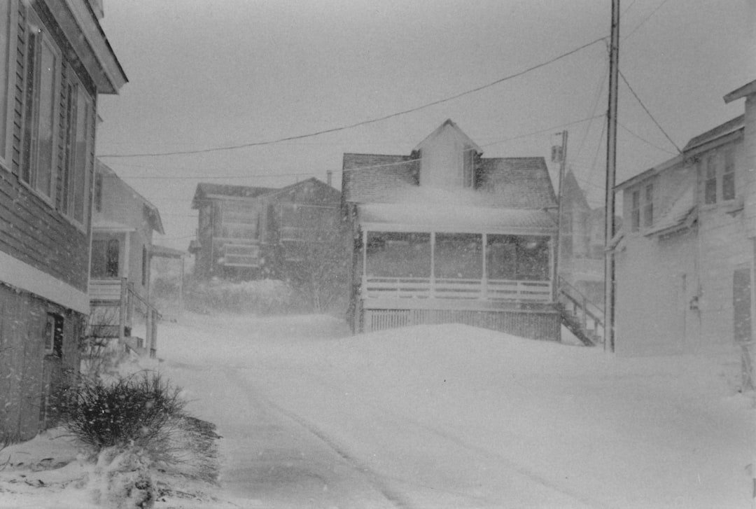 The Duck Hunt That Turned Deadly: Armistice Day Blizzard (image credits: unsplash)