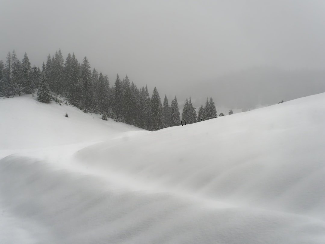 When Tornadoes Met Blizzards: The Super Bowl Storm of 1975 (image credits: unsplash)