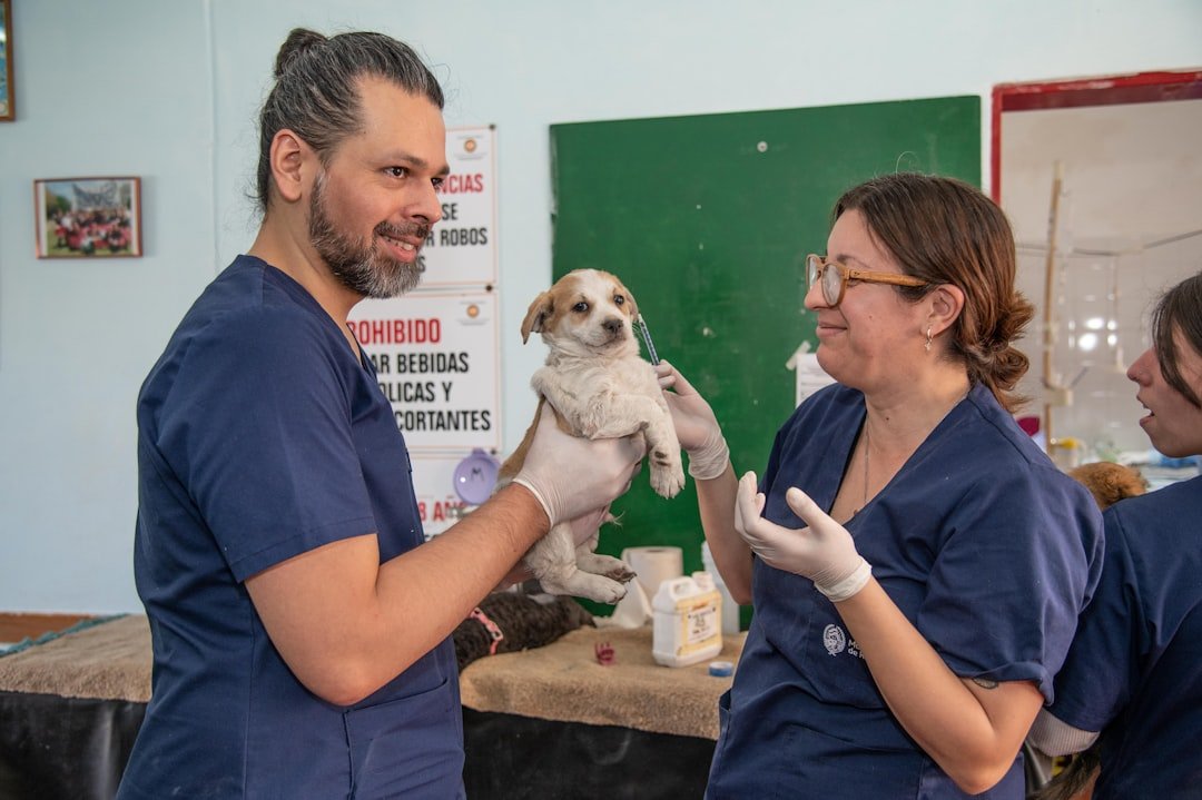 The Dangerous Myth That Indoor Pets Don't Need Vaccinations (image credits: unsplash)